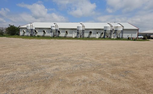 Corps de ferme à Hoag, Nebraska, États-Unis 1