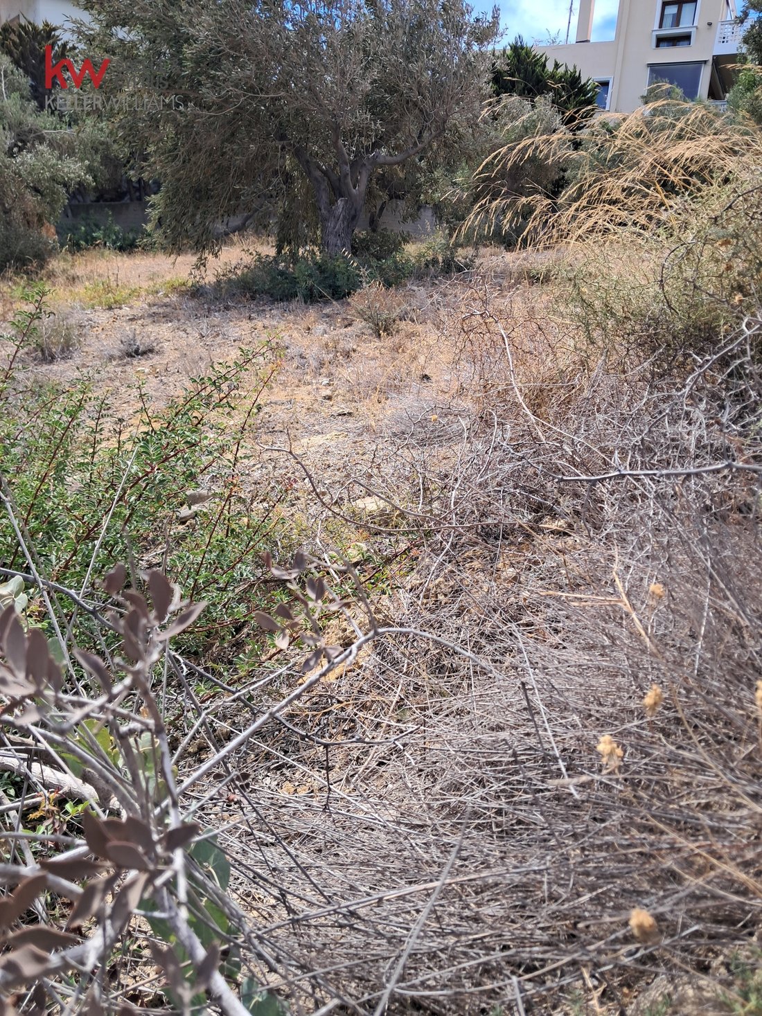 Land in Rafina, Attica, Greece 2 - 18129944