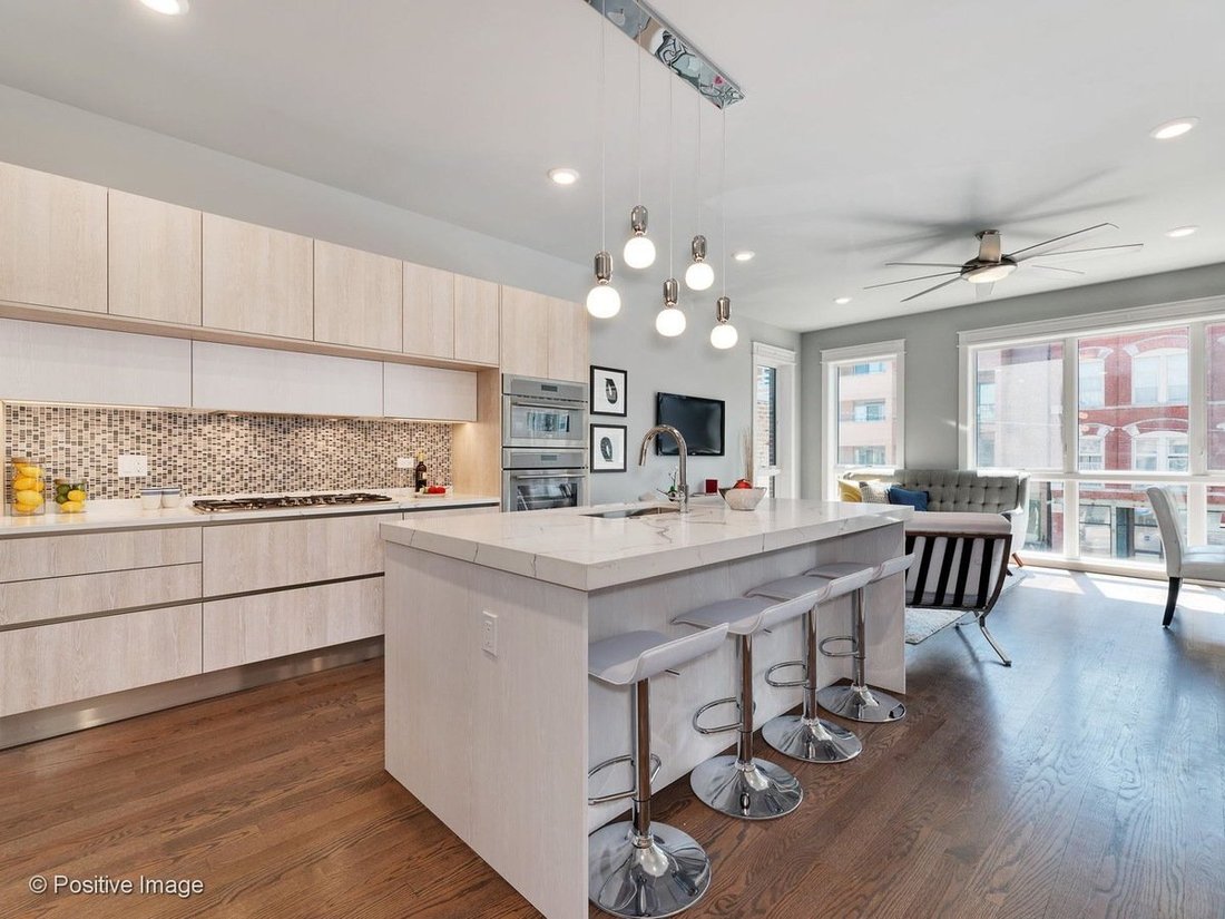 Condo in Chicago, Illinois, United States 1 - 18132783