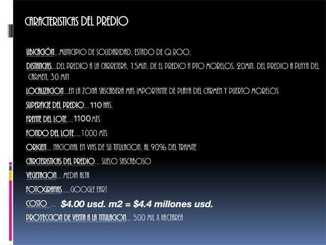 Land in Playa del Carmen, Quintana Roo, Mexico 2 - 18131047