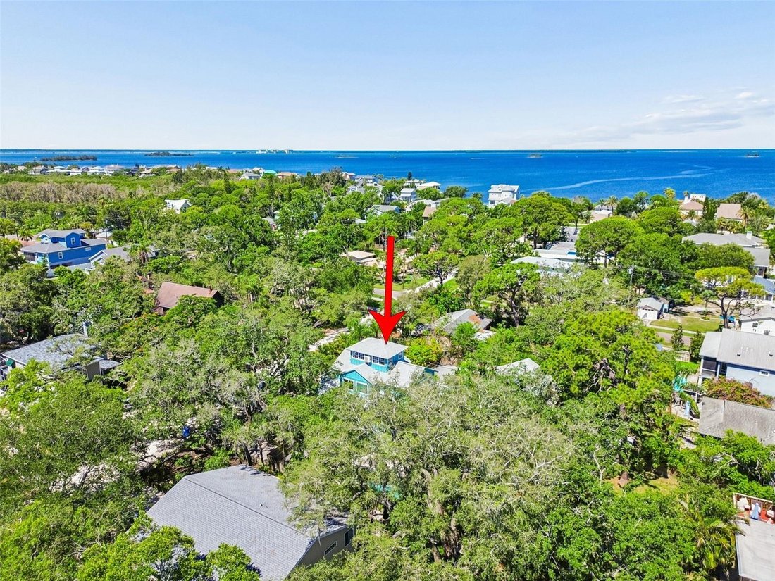 House in Palm Harbor, Florida, United States 4 - 18071765