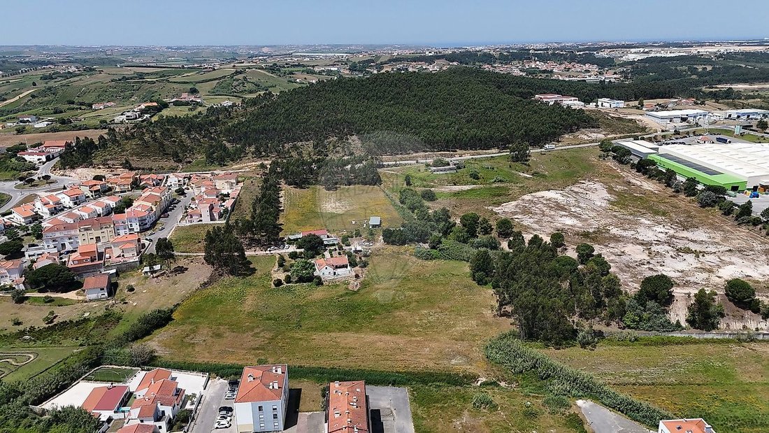 Land in Calvaria de Cima, Leiria District, Portugal 5 - 18128964
