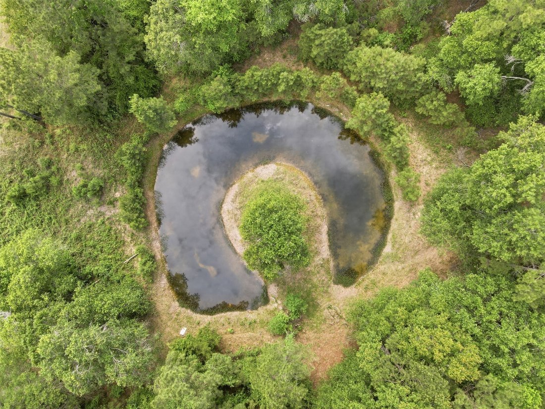 Farm Ranch in Conroe, Texas, United States 5 - 17886588