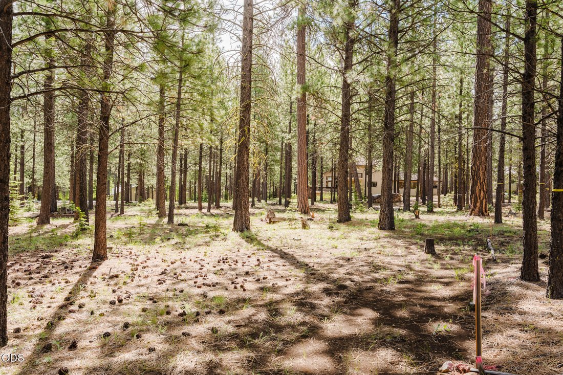 House in Black Butte Ranch, Oregon, United States 3 - 16787709