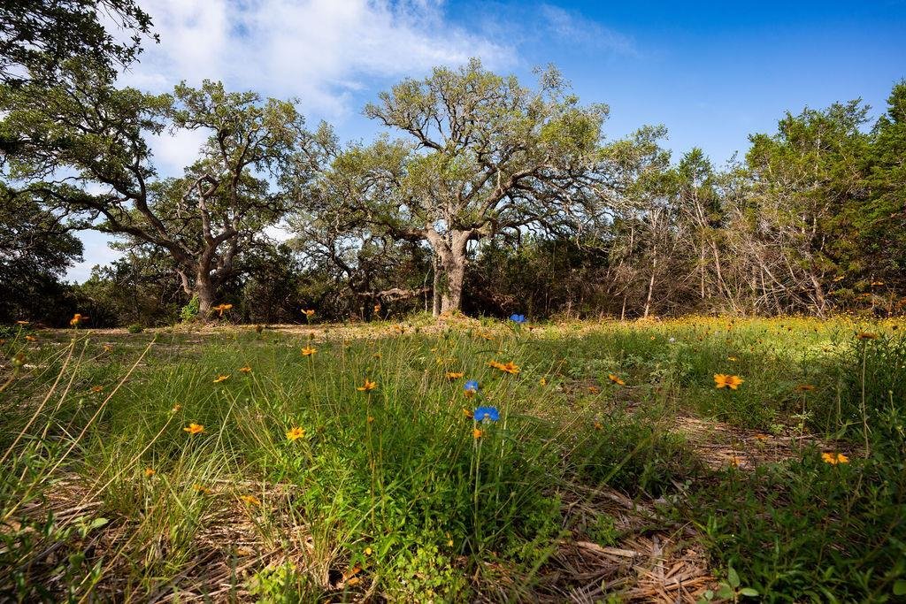 Land in Dripping Springs, Texas, United States 1 - 18133258