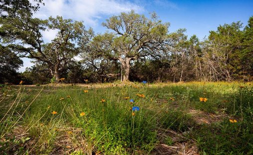 Terreno en Dripping Springs, Texas, Estados Unidos 1