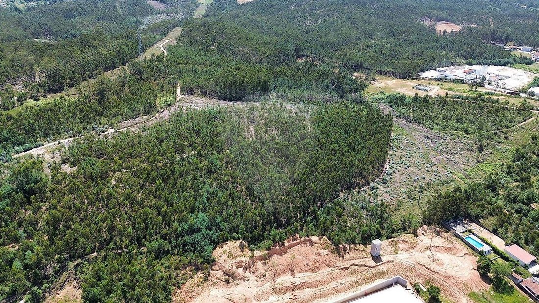 Land in Sao Martinho do Bispo e Ribeira de Frades, Coimbra District, Portugal 5 - 18128862