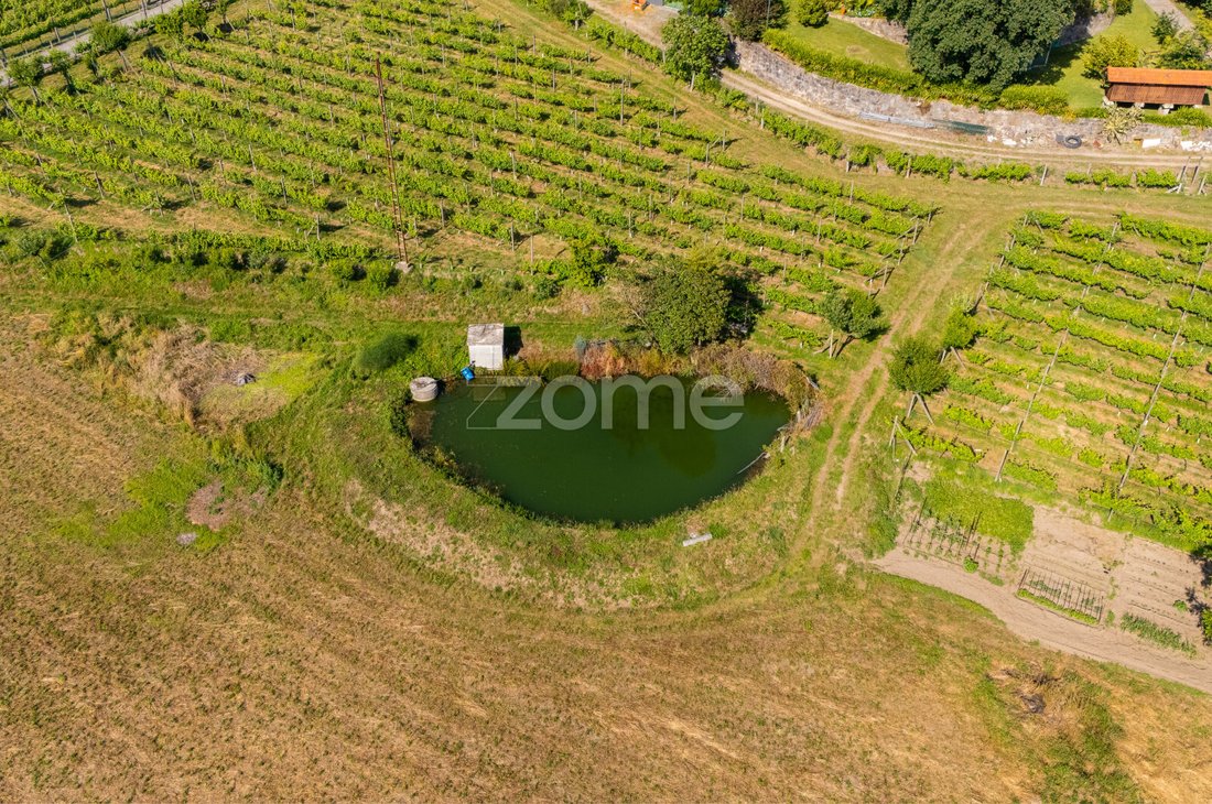 Finca in Ponte, Braga, Portugal 5 - 18133886