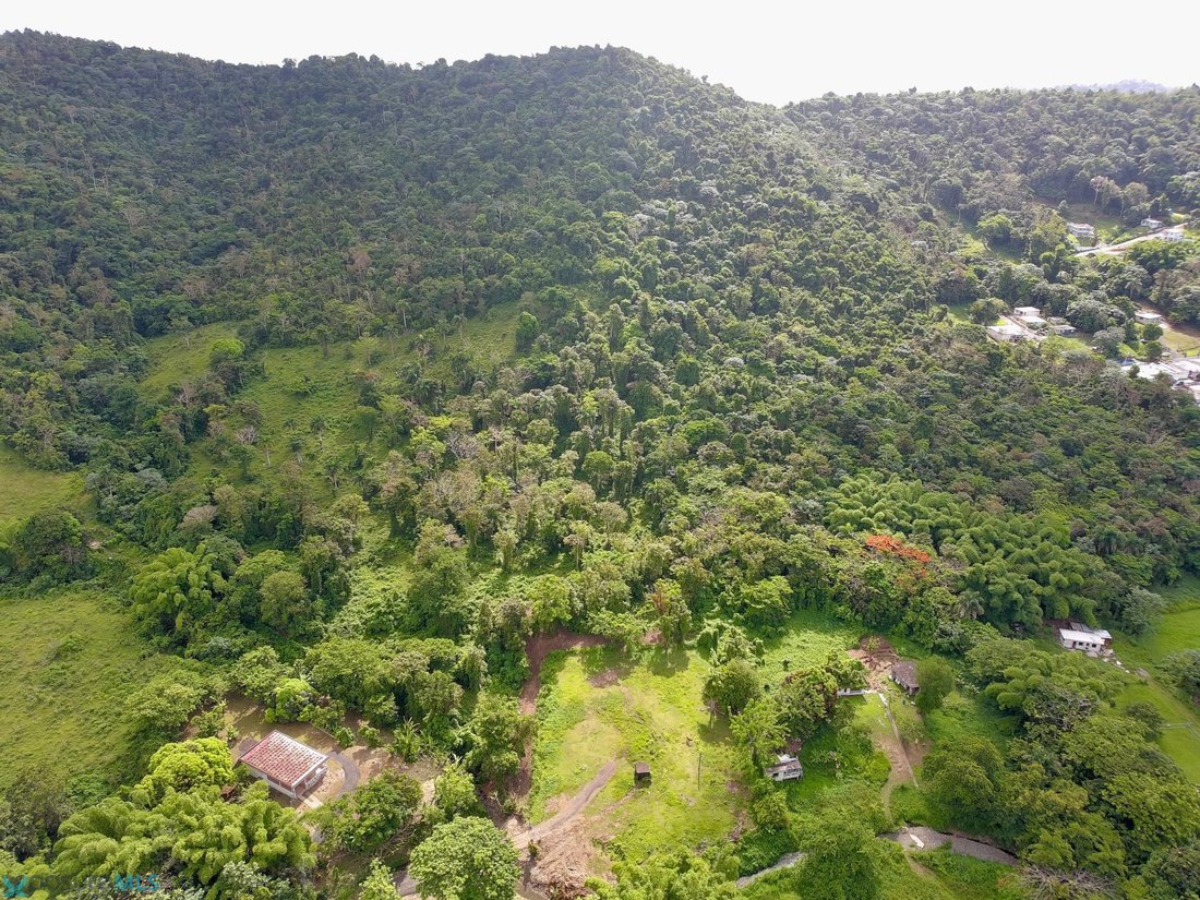 Land in Mabú, Humacao, Puerto Rico 5 - 18128271