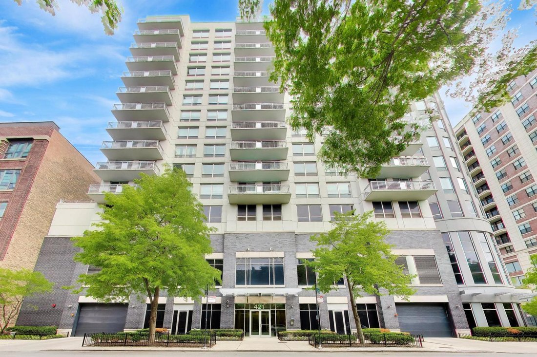 Condo in Chicago, Illinois, United States 1 - 18132680