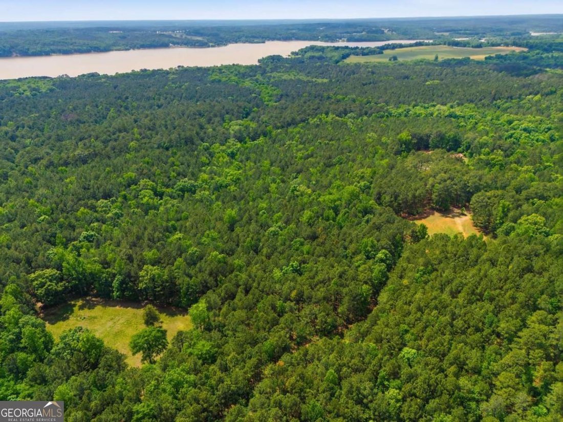 Farm Ranch in Greensboro, Georgia, United States 1 - 18133058