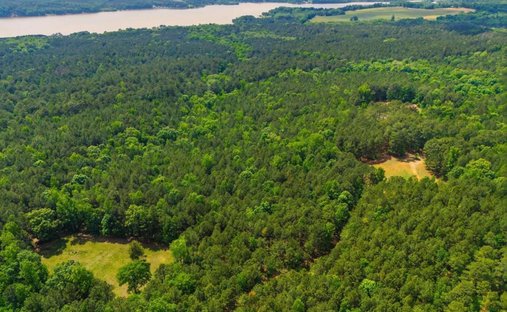 Farm Ranch in Greensboro, Georgia, United States 1