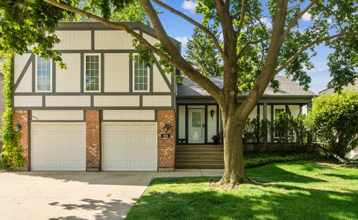 House in Buffalo Grove, Illinois, United States 1