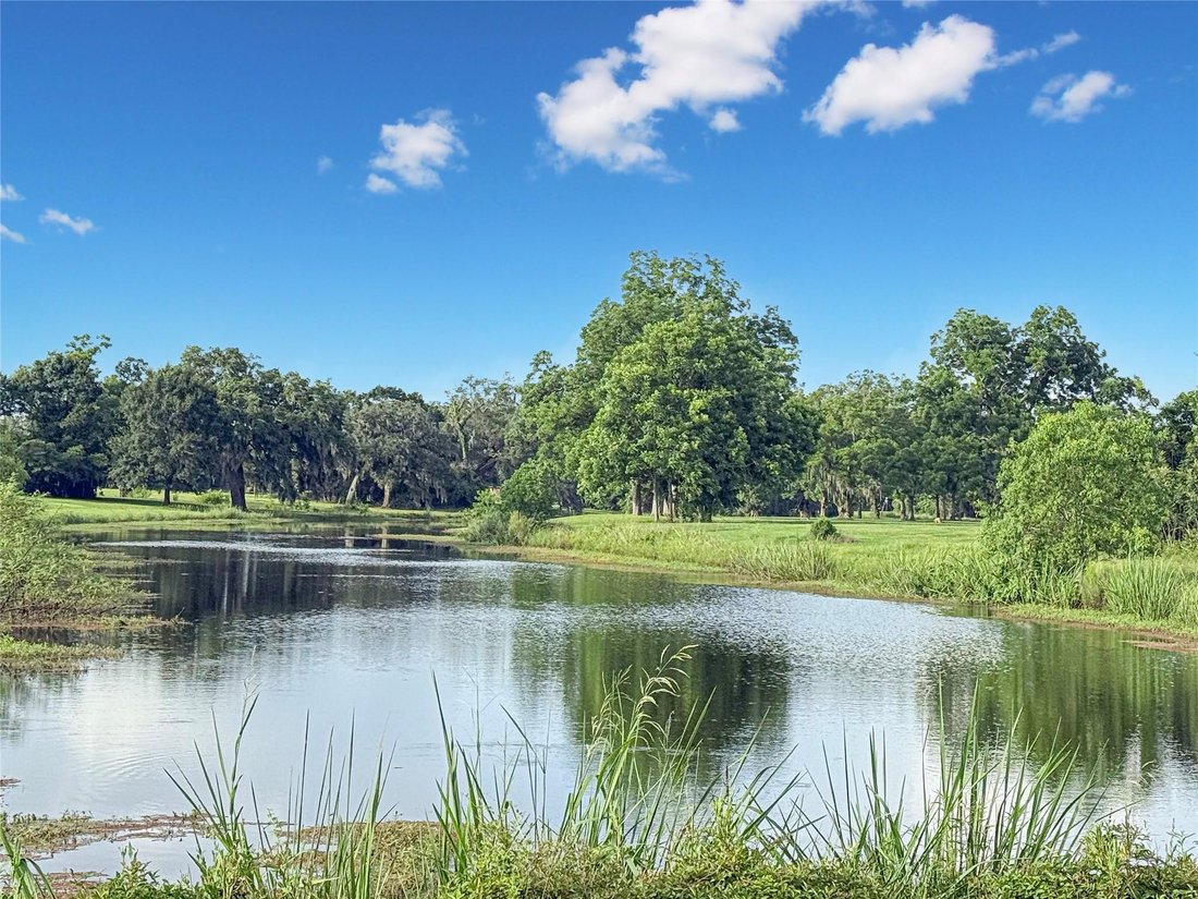House in Angleton, Texas, United States 5 - 18128232