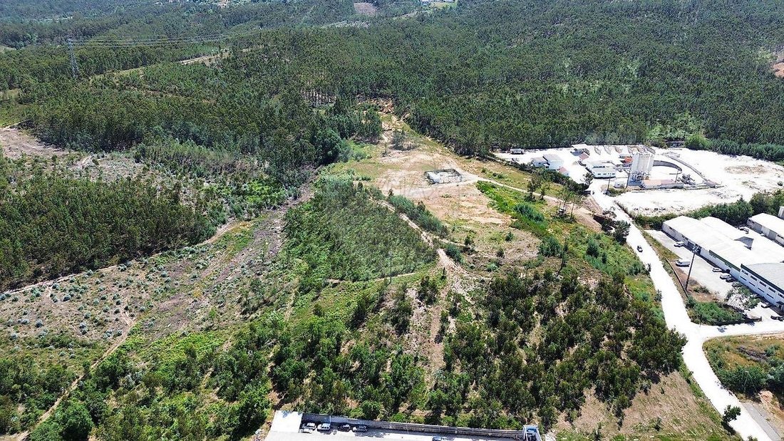 Land in Sao Martinho do Bispo e Ribeira de Frades, Coimbra District, Portugal 2 - 18128862