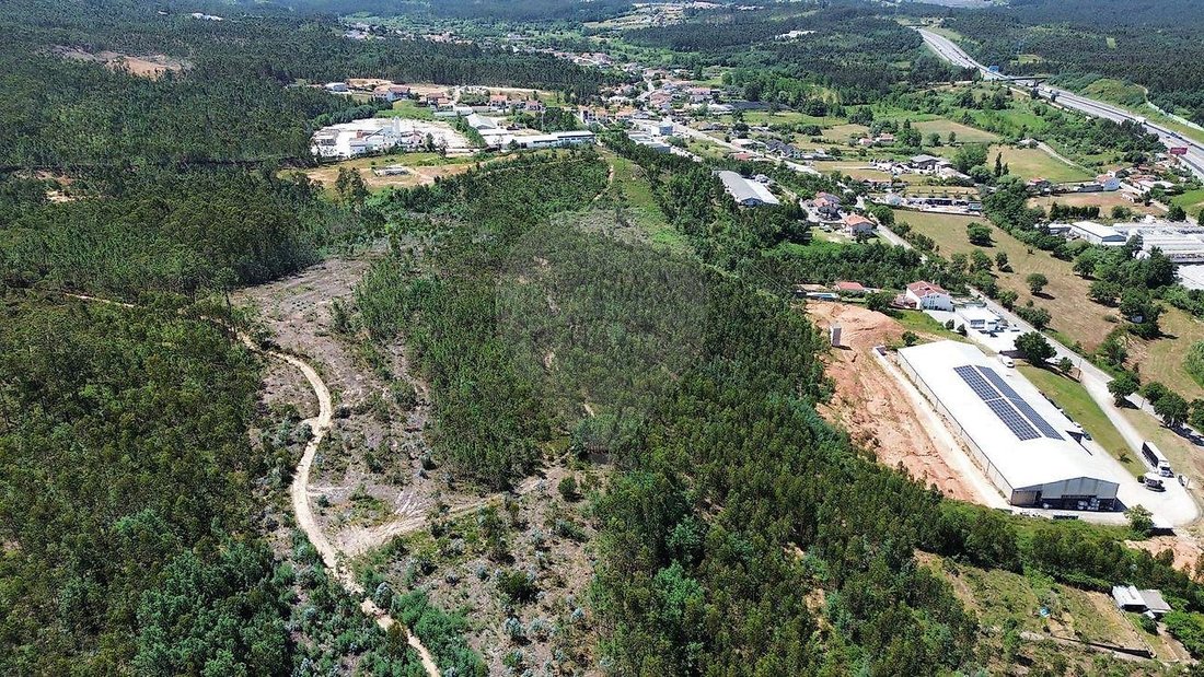 Land in Sao Martinho do Bispo e Ribeira de Frades, Coimbra District, Portugal 4 - 18128862