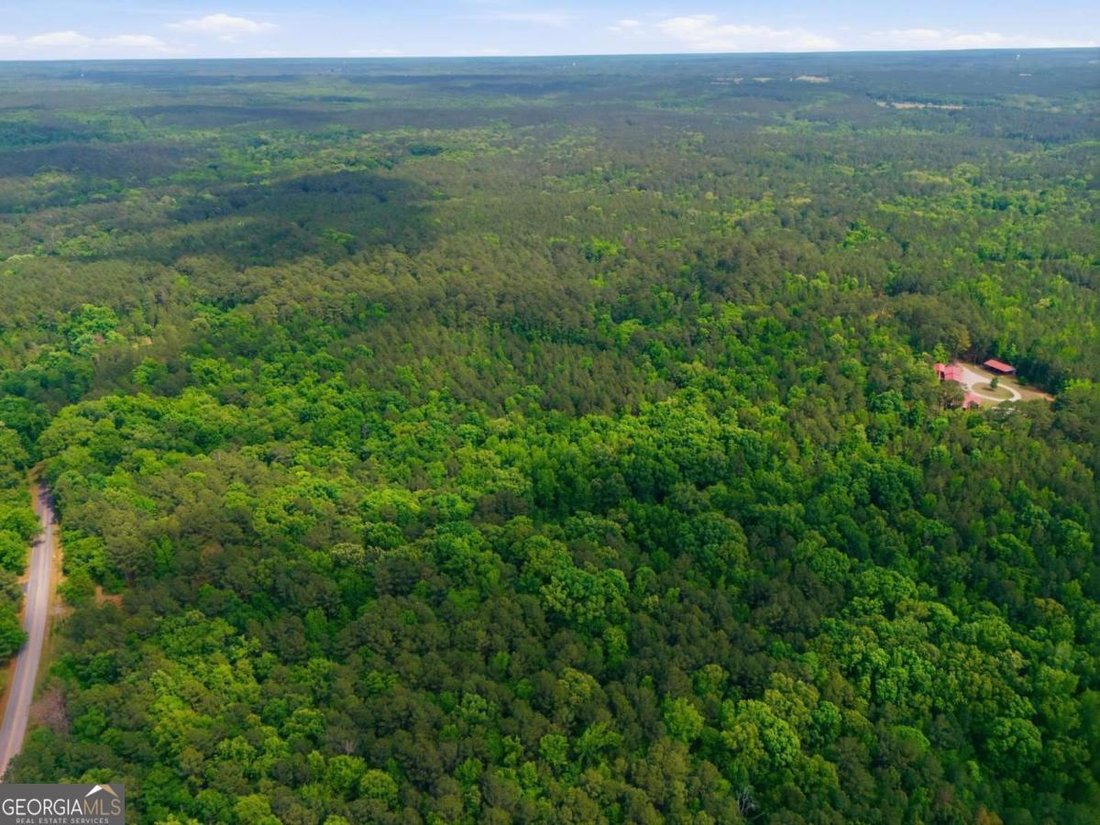 Farm Ranch in Greensboro, Georgia, United States 3 - 18133058