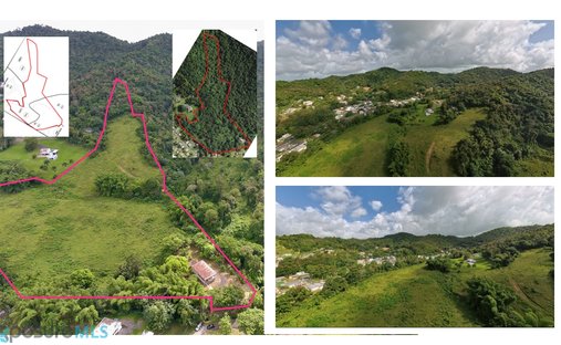 Terrain à Mabú, Humacao, Porto Rico 1