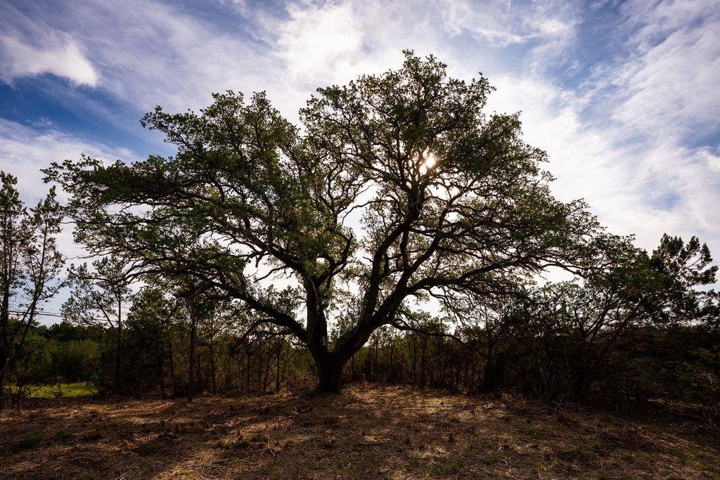 Land in Dripping Springs, Texas, United States 5 - 18133258