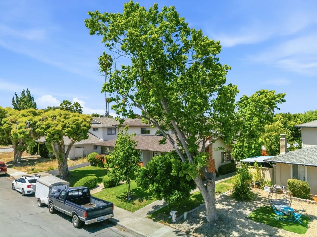 Sunnyvale, California, United States 3 - 18132421