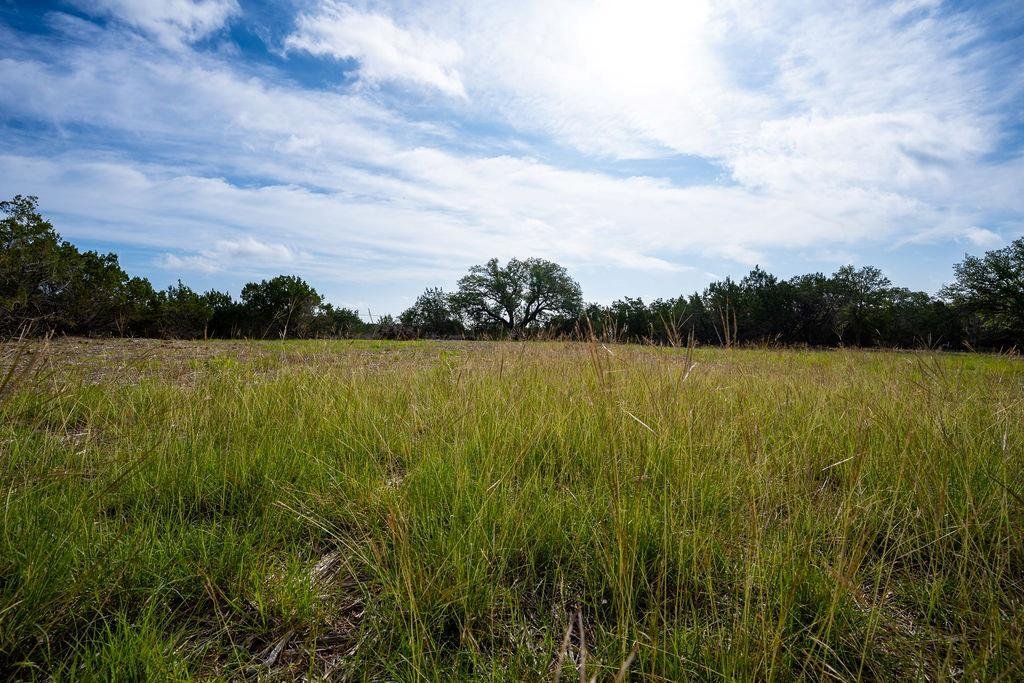 Land in Dripping Springs, Texas, United States 4 - 18133258