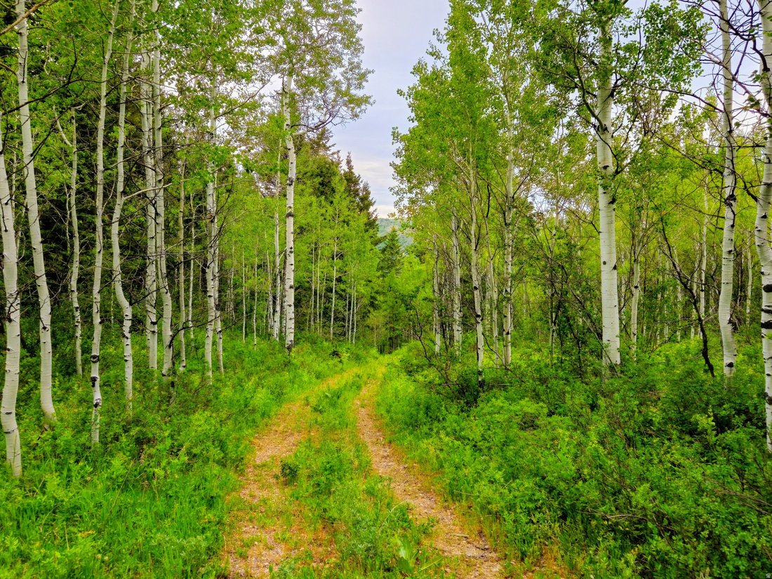 Montpelier, Idaho, United States 3 - 18131490