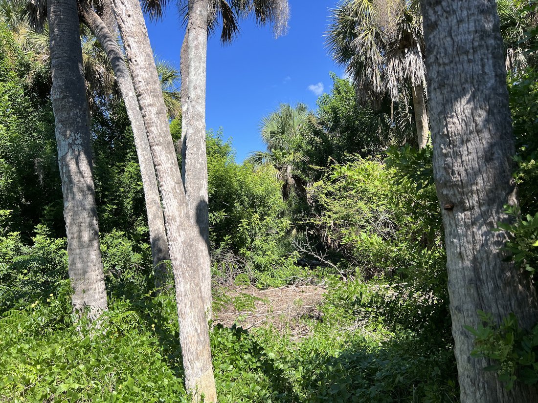Land in Placida, Florida, United States 4 - 18130915