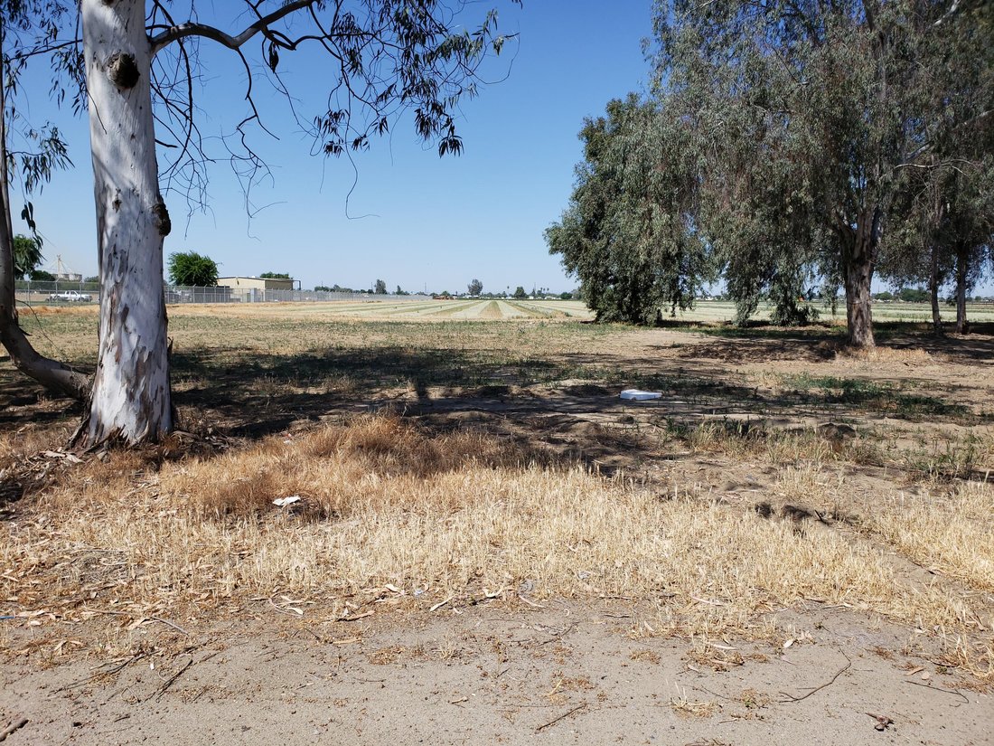 Hanford, California, United States 2 - 18134142
