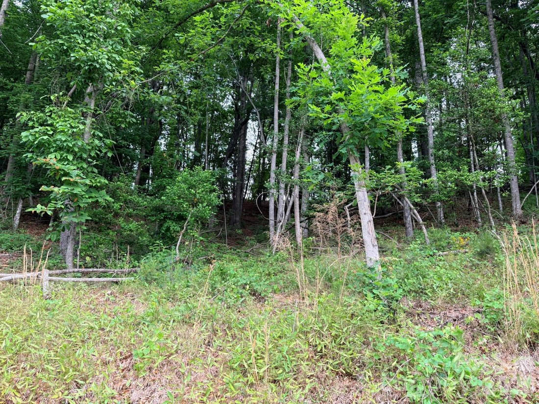 Land in Ferguson, North Carolina, United States 4 - 18128896