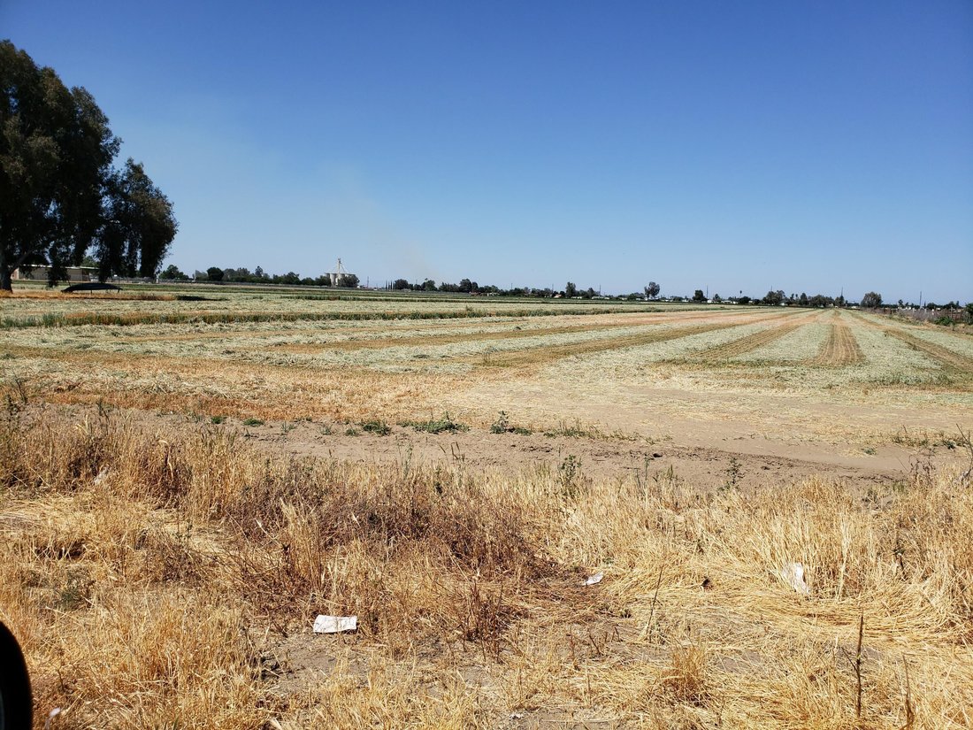 Hanford, California, United States 3 - 18134142