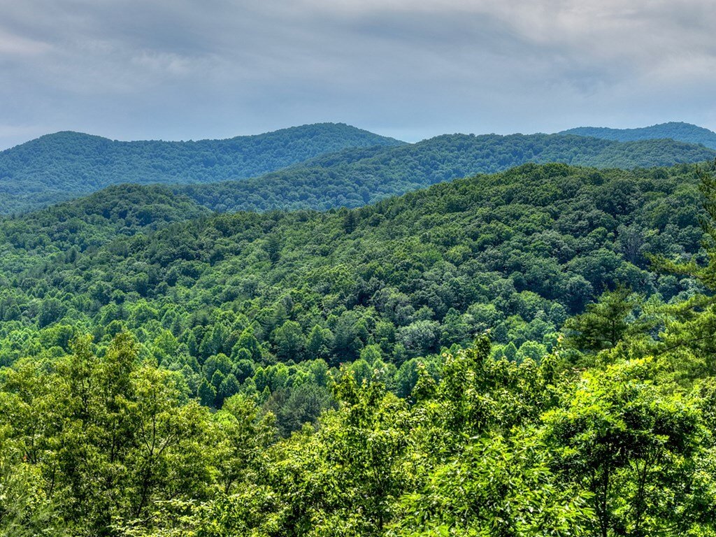 House in Cherry Log, Georgia, United States 3 - 18127334