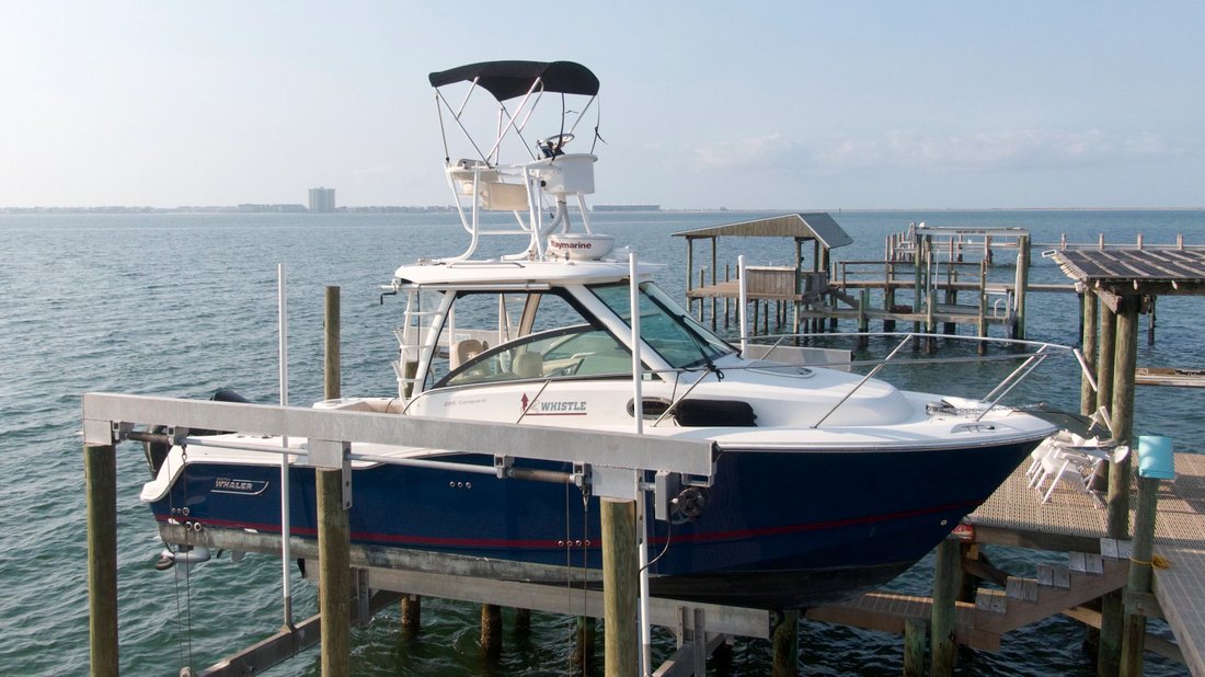 Cruiser in United States 1 - 18130876