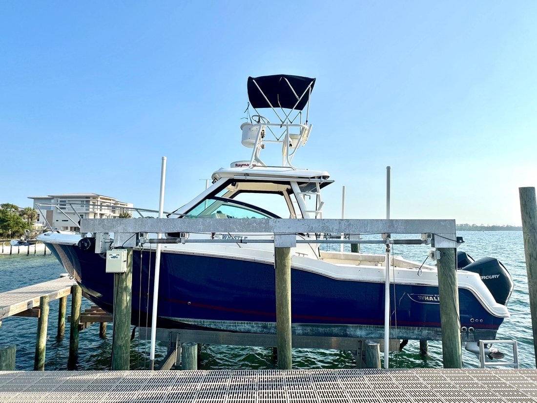 Cruiser in United States 2 - 18130876