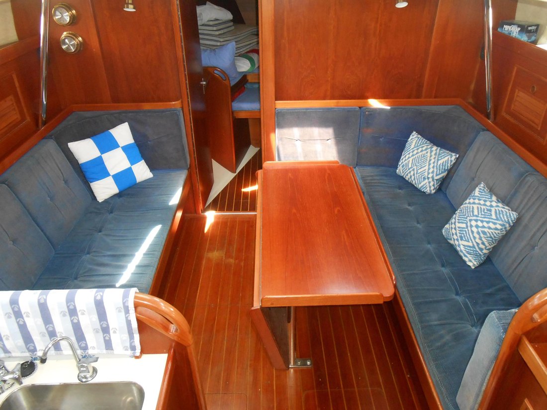 Cruiser in United States 4 - 17885356