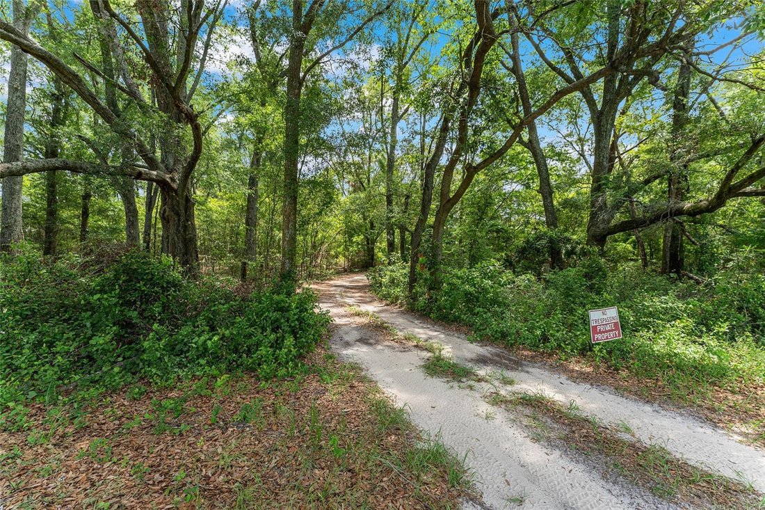 Land in Newberry, Florida, United States 5 - 18092261