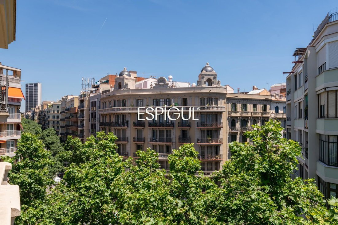 Apartment in Eixample, Barcelona, Spain 4 - 18127401
