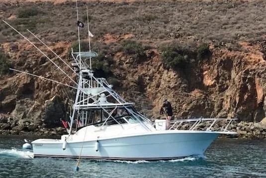 Sport Fisherman in United States 1 - 17885329