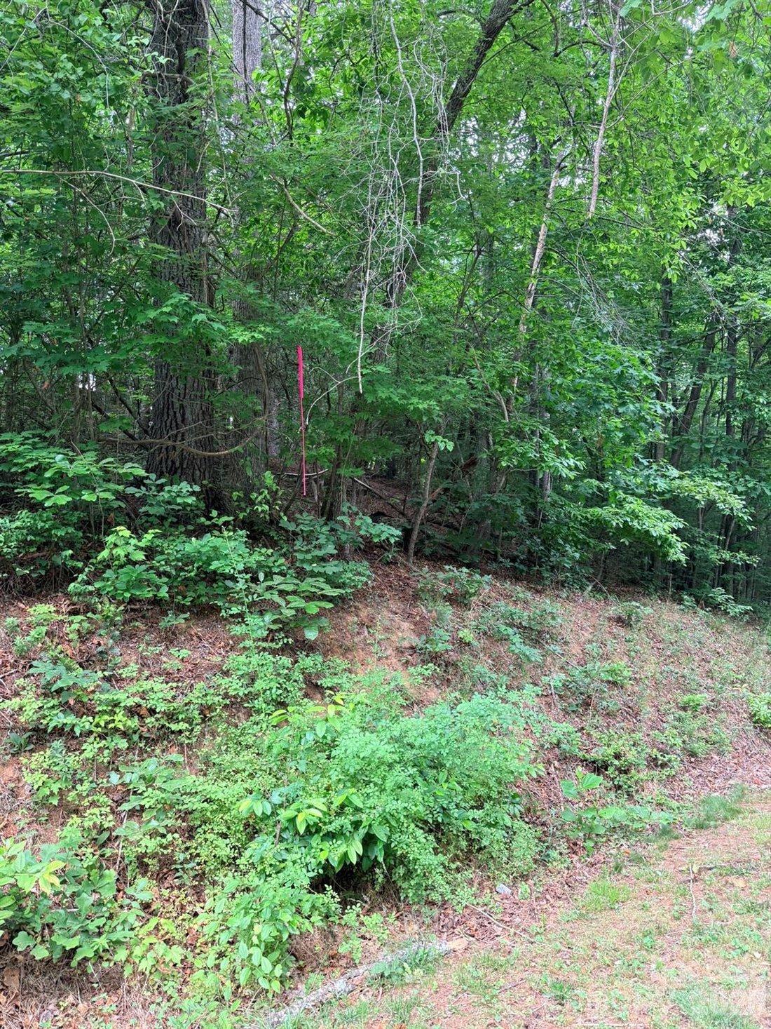 Land in Ferguson, North Carolina, United States 1 - 18128896
