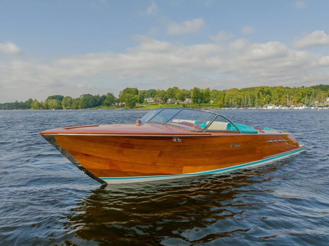 Cruiser in United States 5 - 17885289