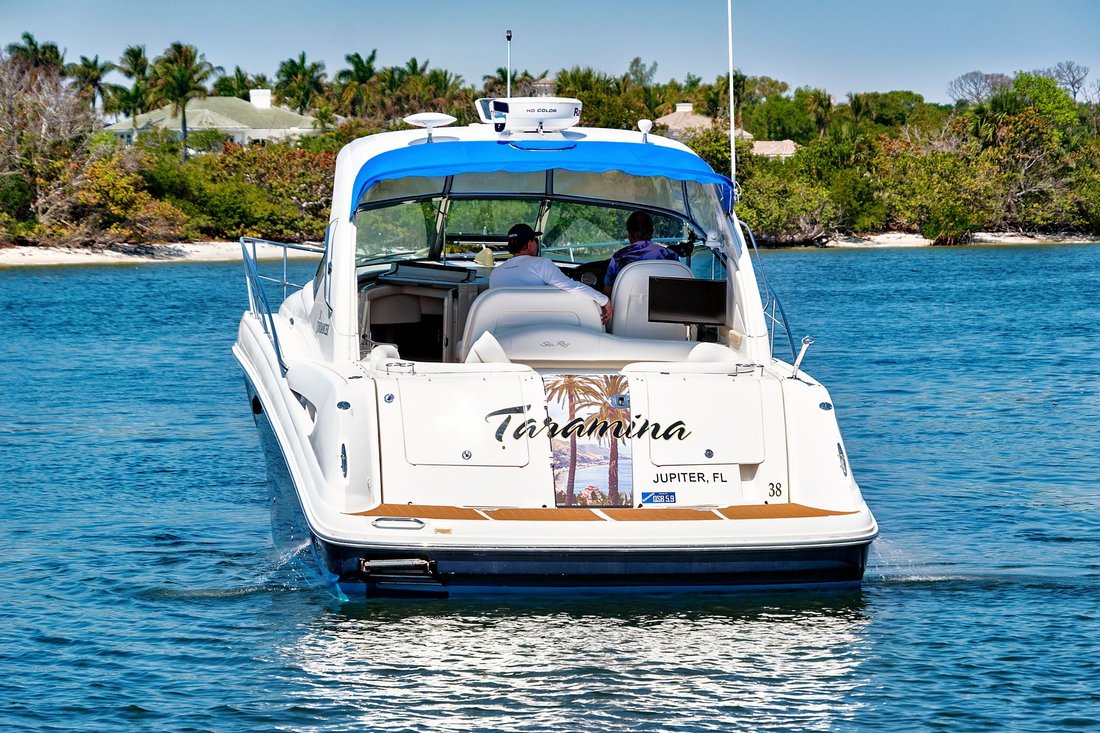 Cruiser in United States 3 - 17885387