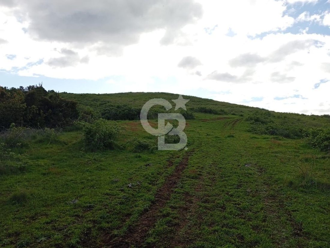 Land in San Pablo, Los Lagos, Chile 5 - 18127287