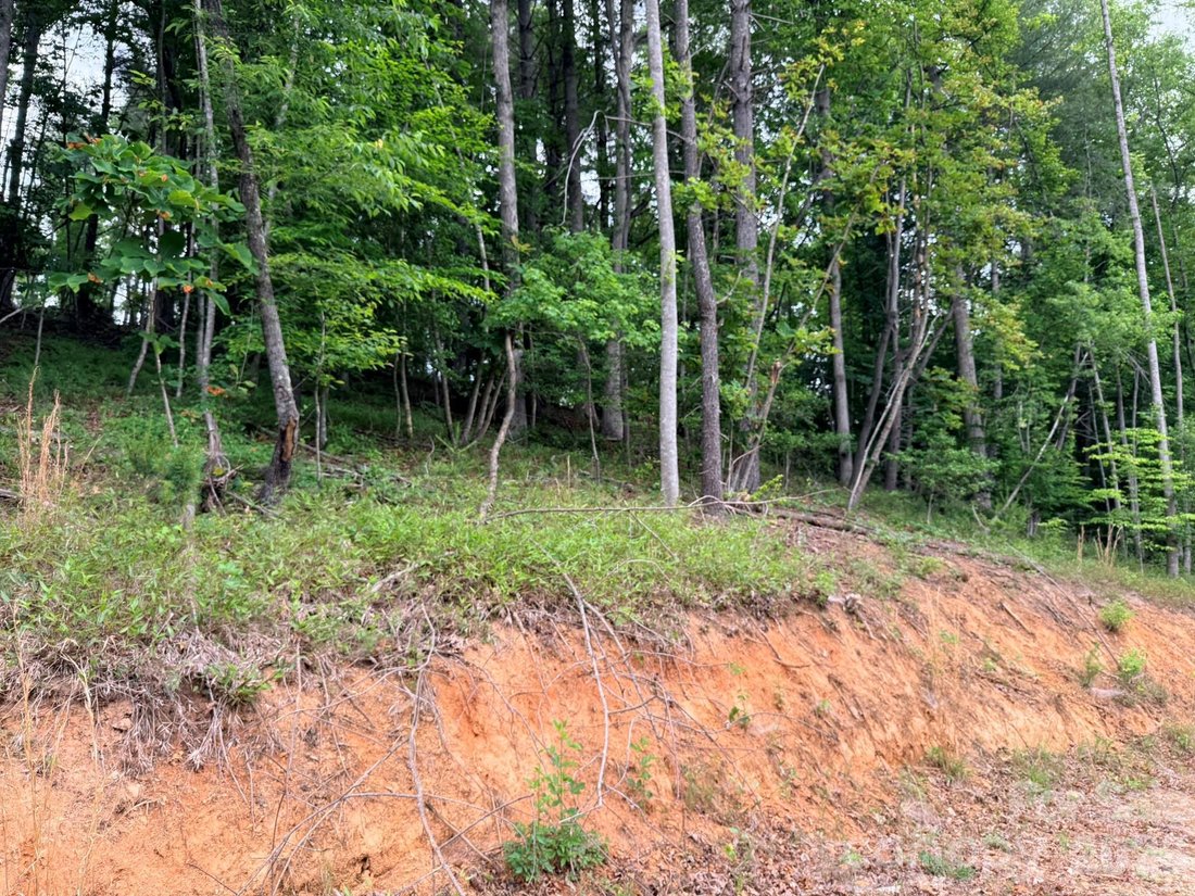 Land in Ferguson, North Carolina, United States 5 - 18128896