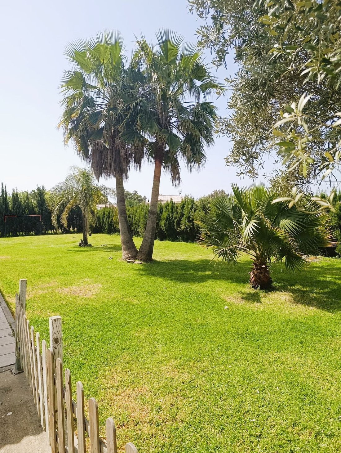 Finca in Aljaraque, Andalusia, Spain 1 - 18131789