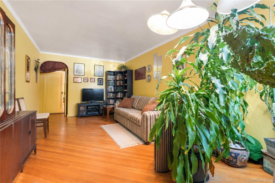 House in New York, New York, United States 5 - 18131631