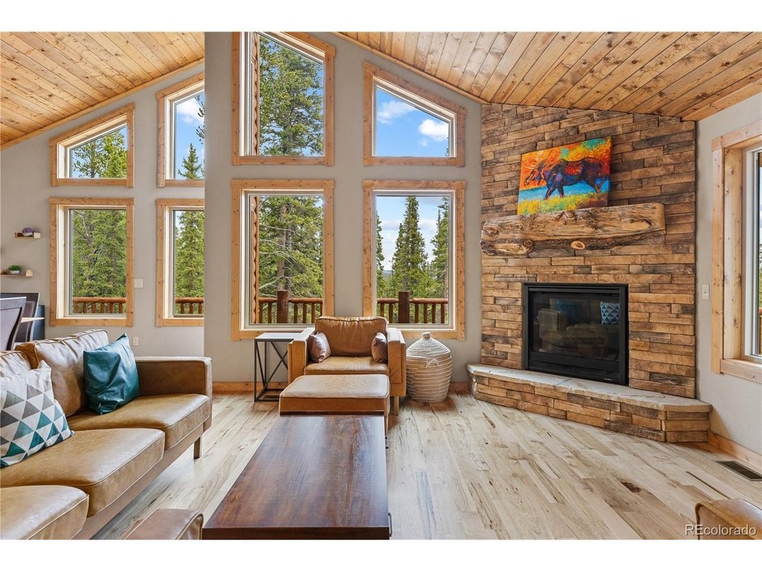 House in Alma, Colorado, United States 5 - 18131590