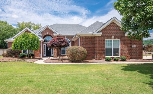 House in Owens Cross Roads, Alabama, United States 1