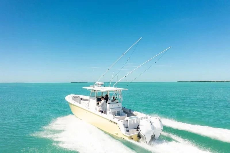Cruiser in United States 3 - 18130877