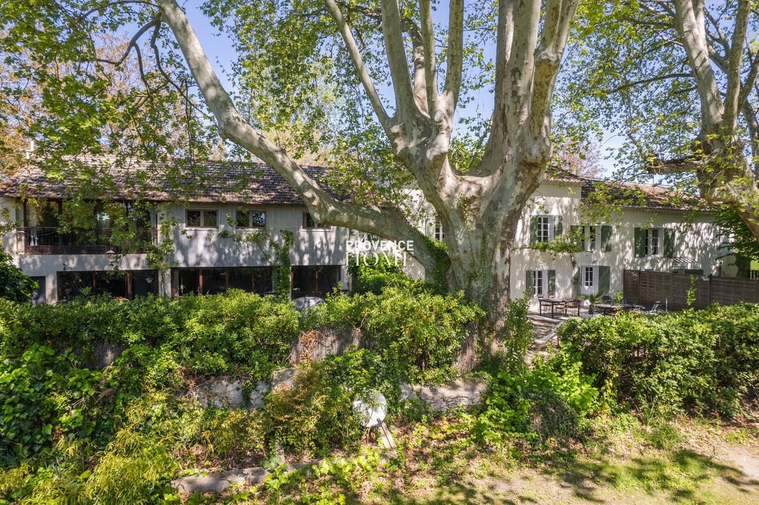 Estate in Sud, Le Thor, France 1 - 18130800