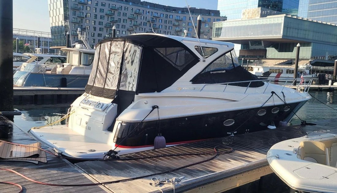 Cruiser in United States 5 - 17885285
