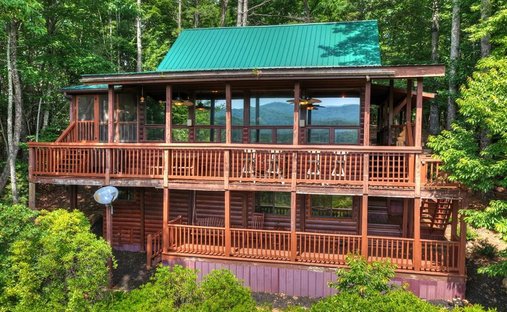 Casa a Cherry Log, Georgia, Stati Uniti 1